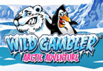 slot online wild gambler 2 artic adventure