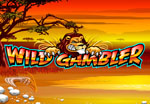 slot online wild gambler
